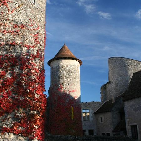 Chateau d'Ingrandes Ingrandes  Bagian luar foto