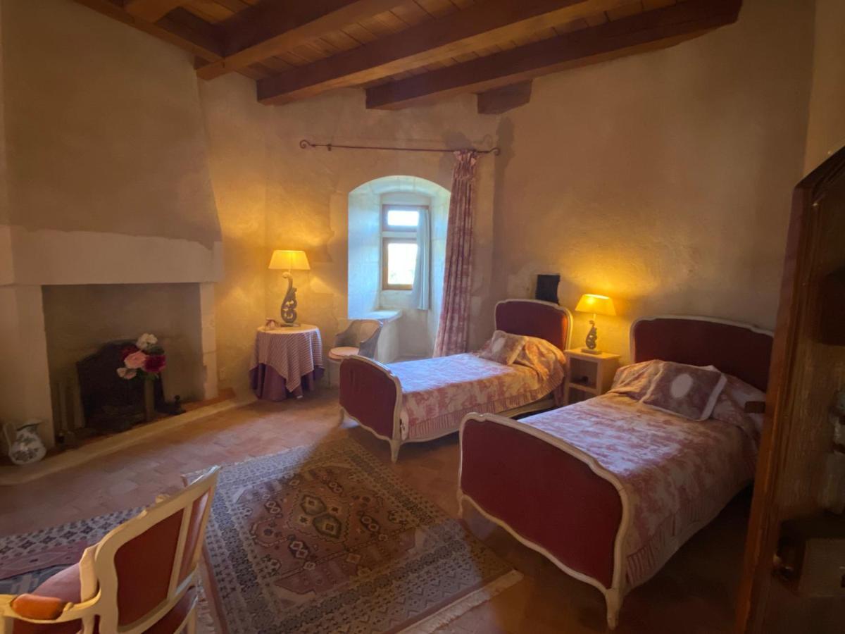 Chateau d'Ingrandes Ingrandes  Bagian luar foto