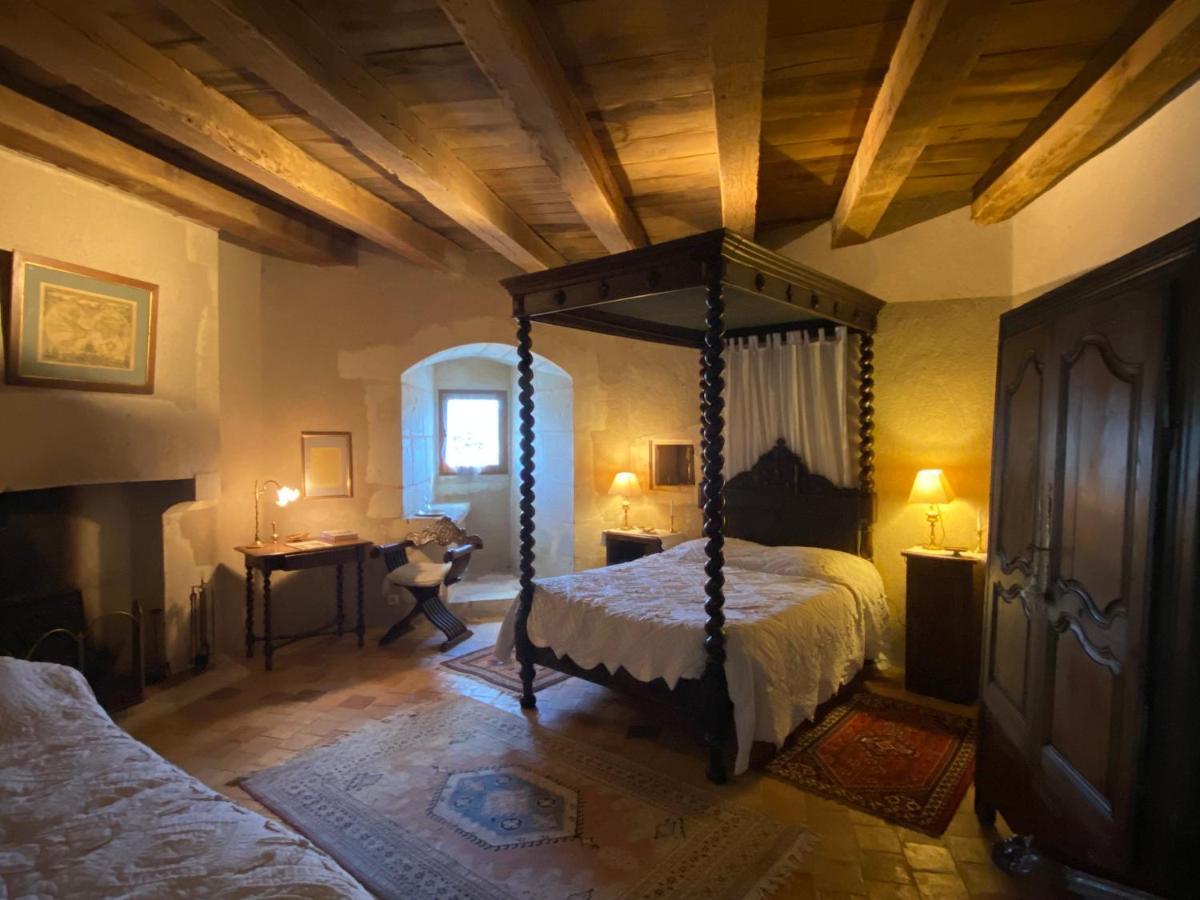 Chateau d'Ingrandes Ingrandes  Bagian luar foto