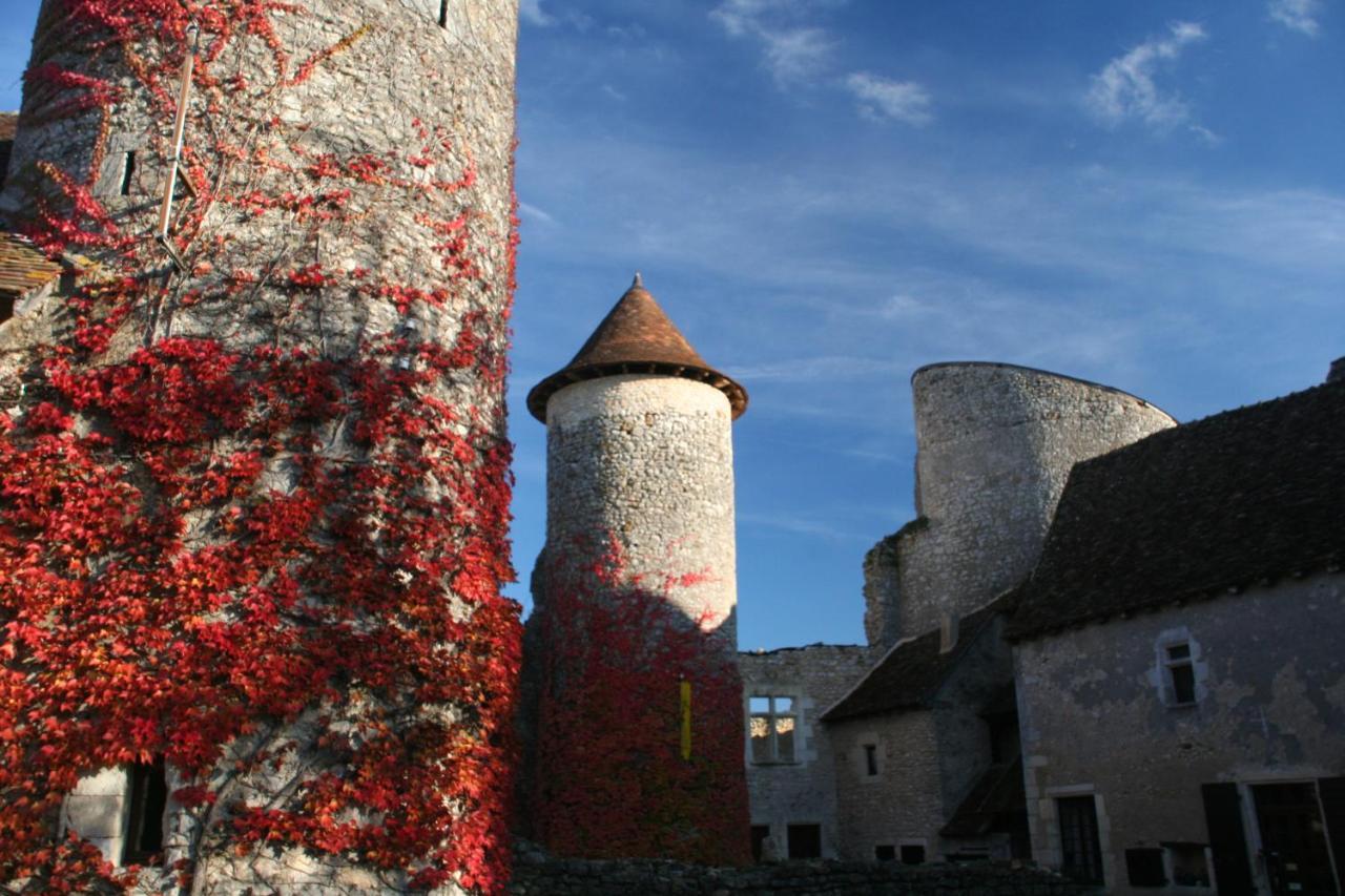 Chateau d'Ingrandes Ingrandes  Bagian luar foto