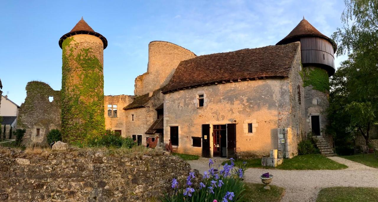 Chateau d'Ingrandes Ingrandes  Bagian luar foto