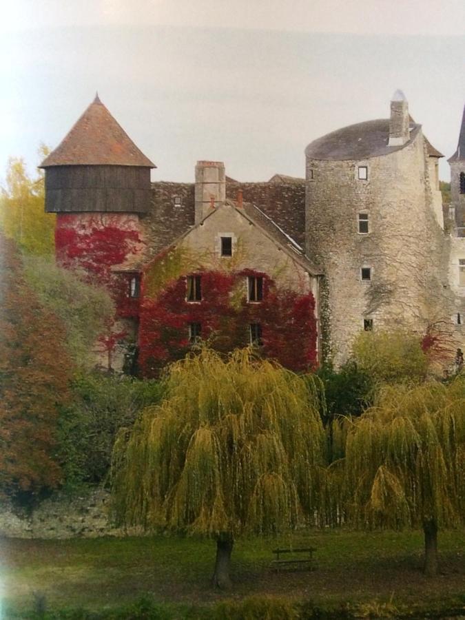 Chateau d'Ingrandes Ingrandes  Bagian luar foto