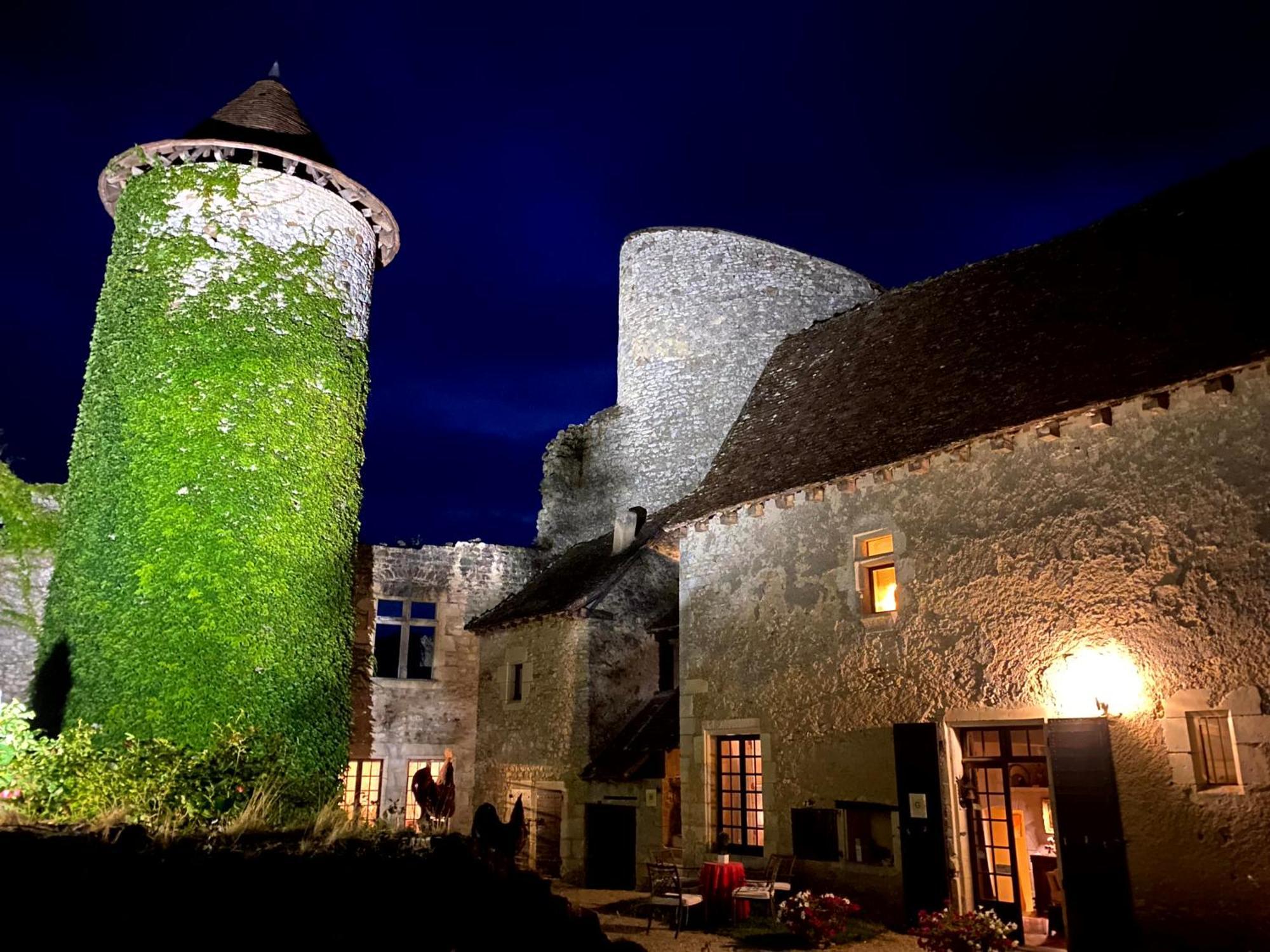 Chateau d'Ingrandes Ingrandes  Bagian luar foto