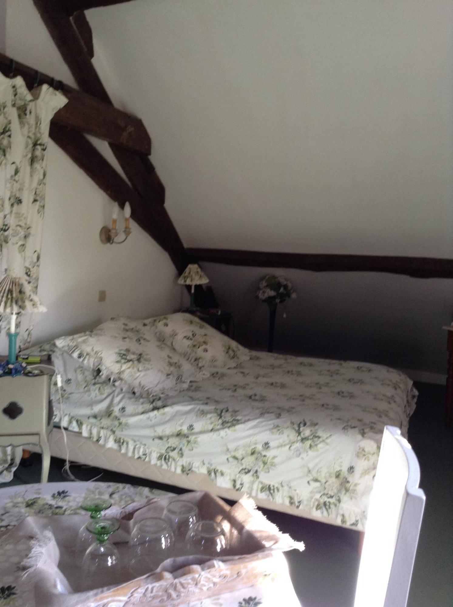 Chateau d'Ingrandes Ingrandes  Bagian luar foto