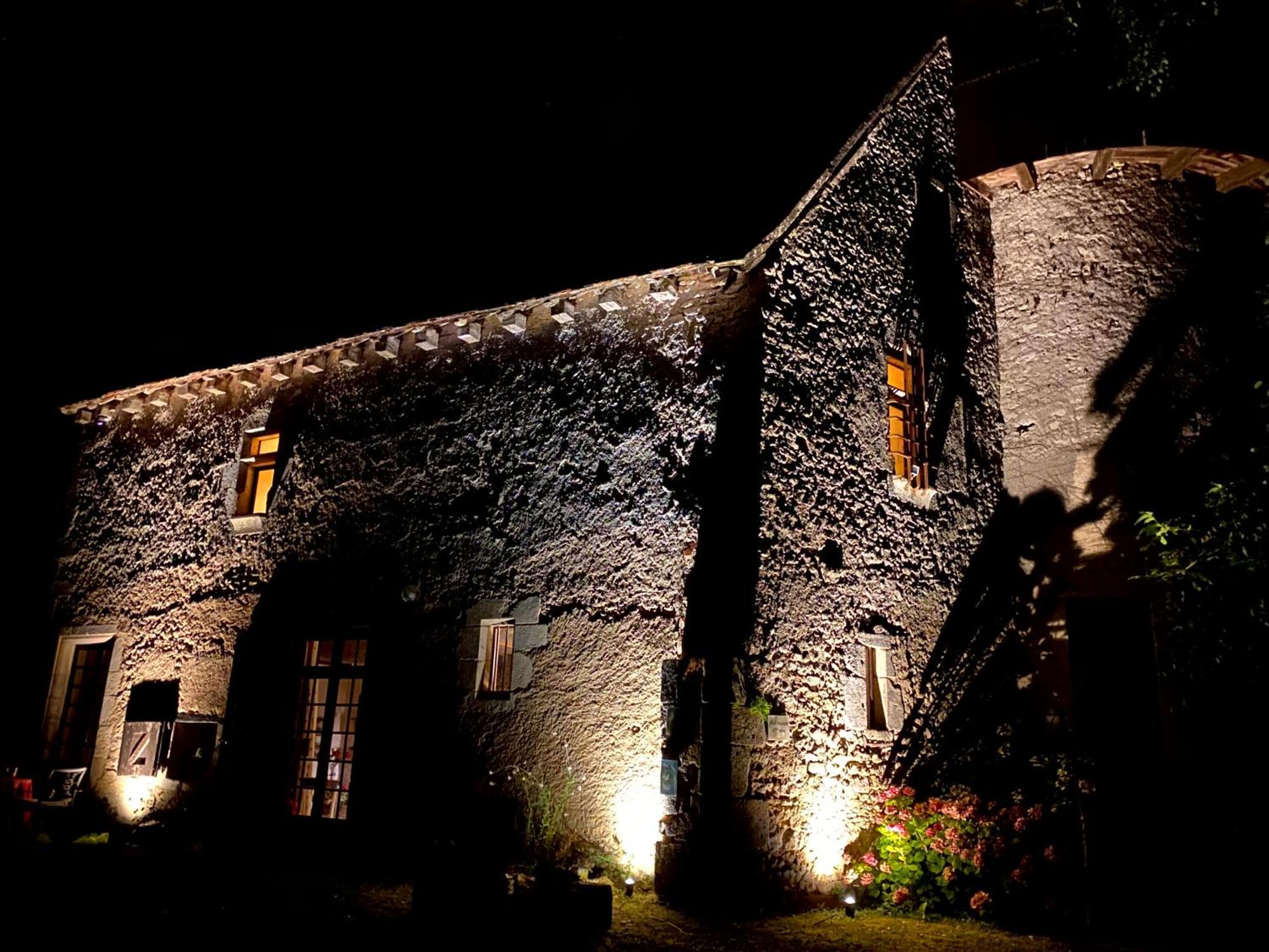 Chateau d'Ingrandes Ingrandes  Bagian luar foto